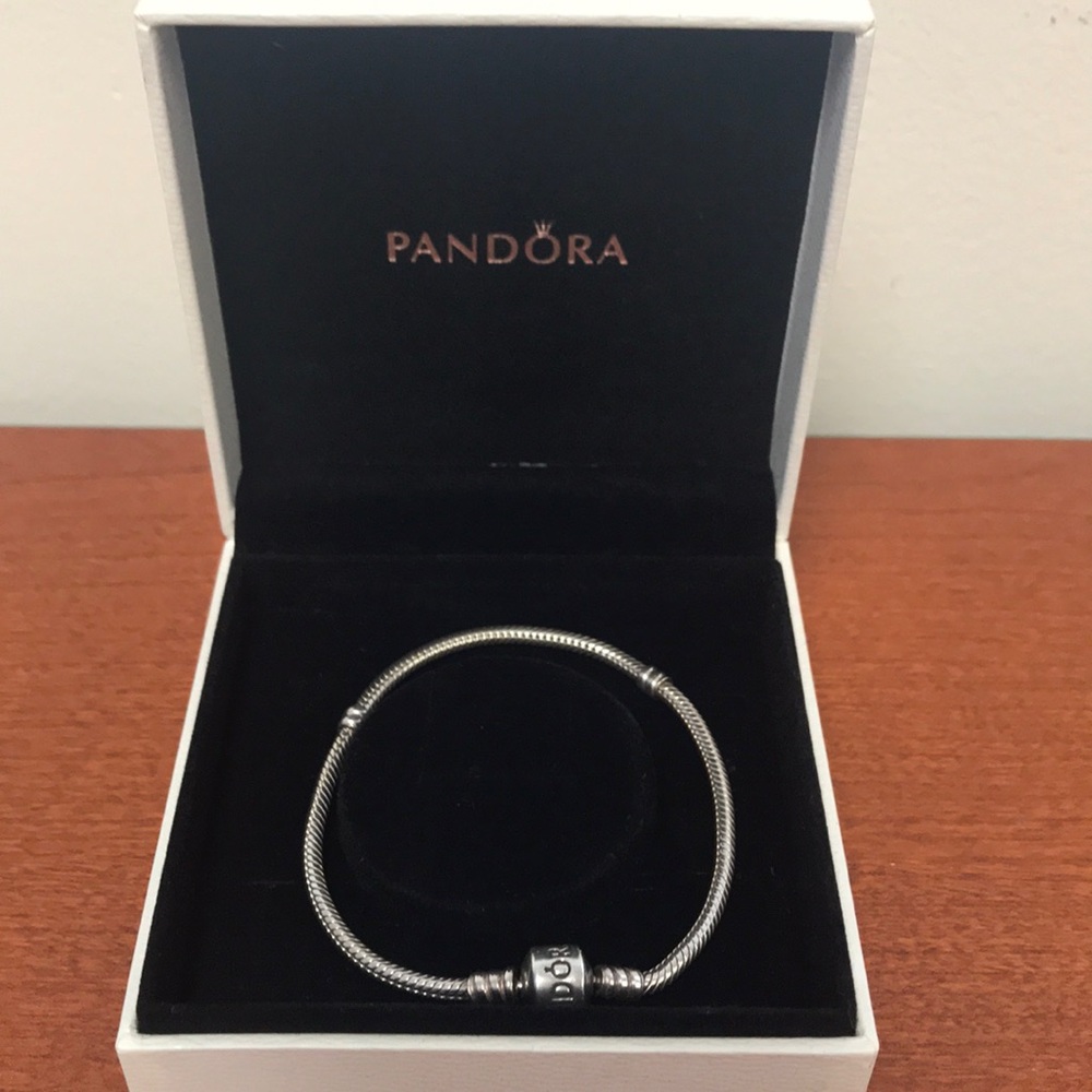 Pandora Snake Chain Bracelet